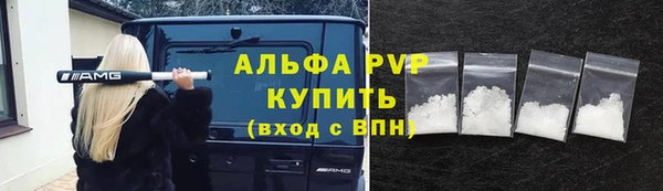 ECSTASY Богородск