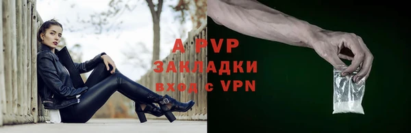 ECSTASY Богородск
