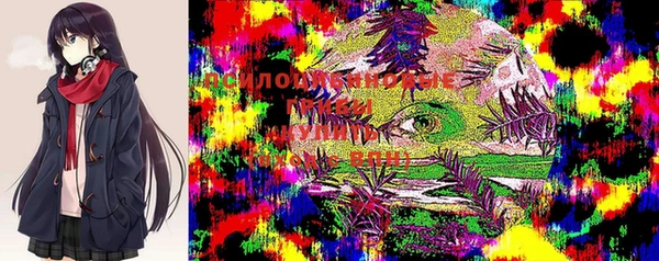 ECSTASY Беломорск