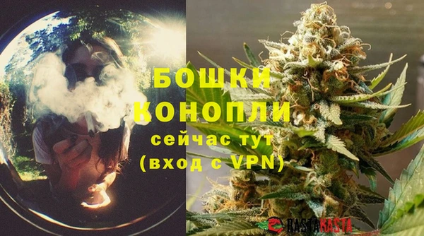 МДПВ Богородицк