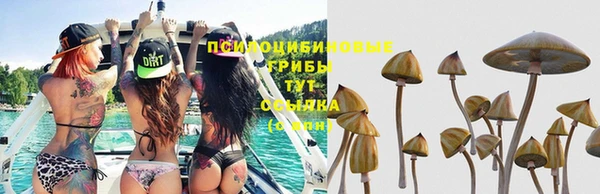 МДПВ Богородицк